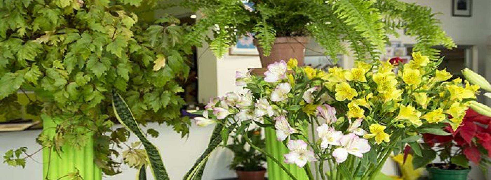 Flower Shop 