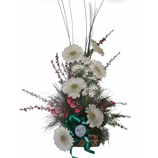 Arreglo de 6 Gerberas 