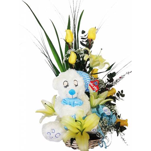 Nacimiento Con Peluche Dormil�n