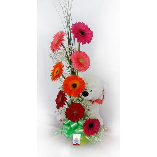 Arreglo de Gerberas con Peluche