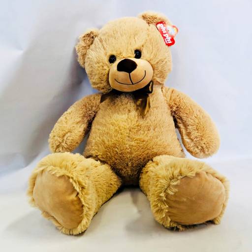 Oso Peluche Marrón