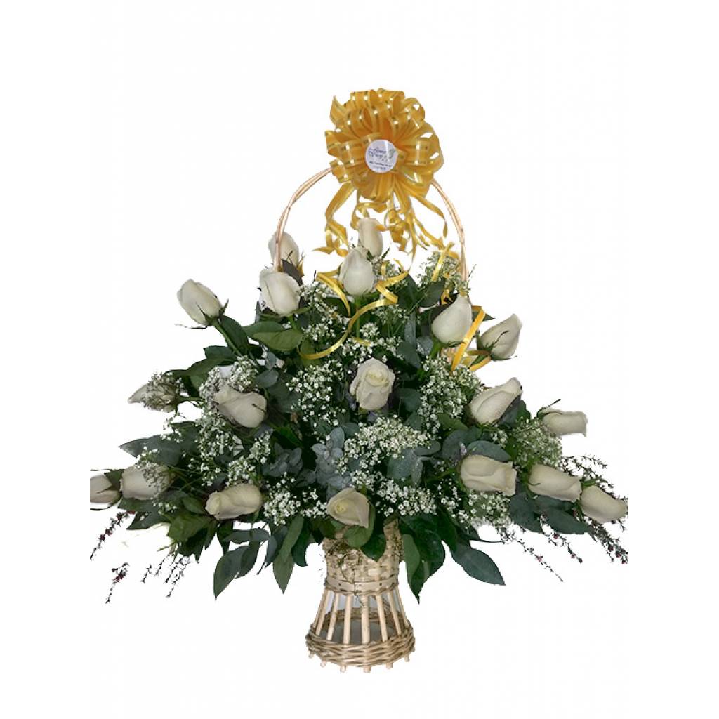 24 Rosas Blancas para DESLUMBRAR !!!