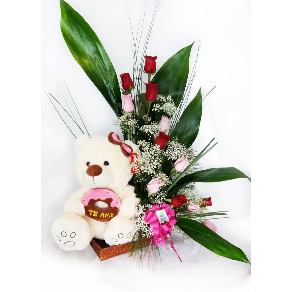 Bienvenida Beb�
